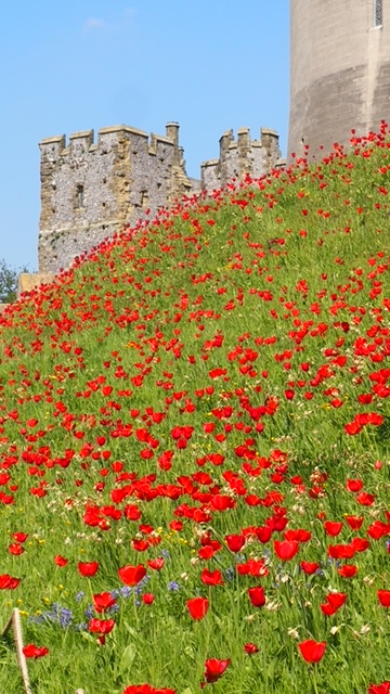 Arundel Castle